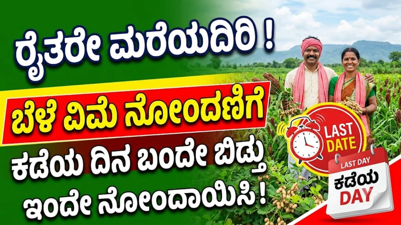 Crop insurance payment due in few days only